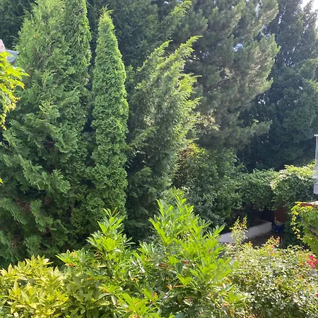 Little Paradise In The Center Of Near Vienna Apartment *
